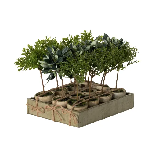 Potted Mini Tree (3 Styles)