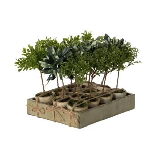 Potted Mini Tree (3 Styles)